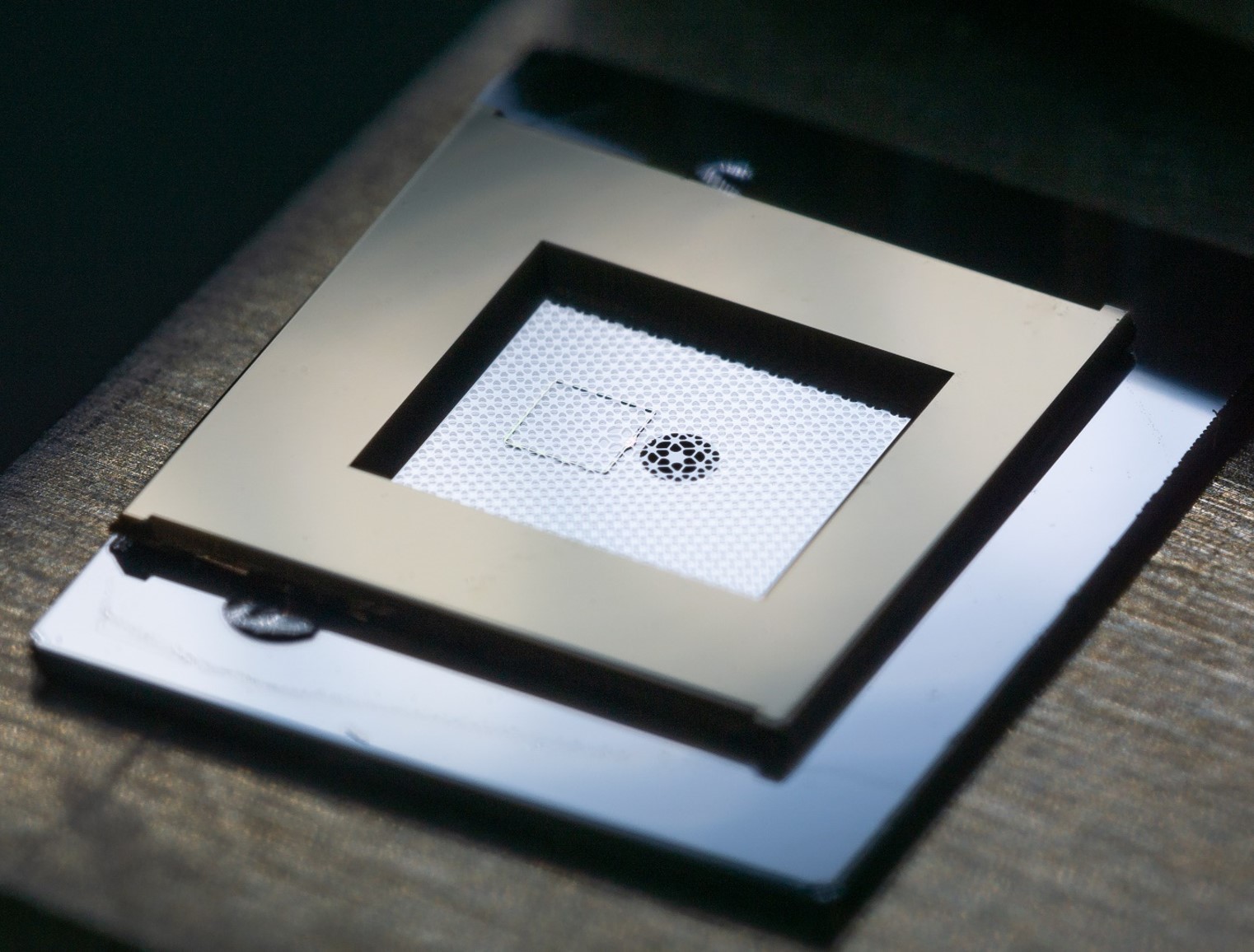 Research image 1